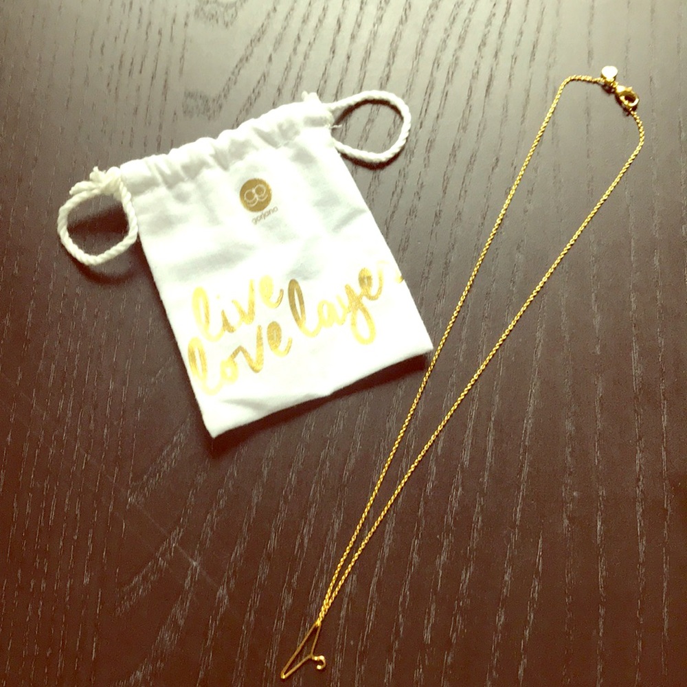 Gorjana necklace